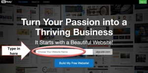 Domain name related to your niche