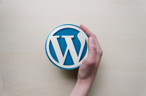 what is wordpress website
