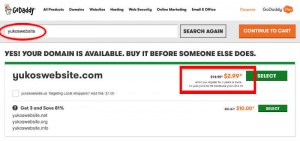GoDaddy domain search