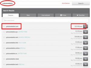 namecheap domain name