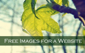 how to get free images for a website