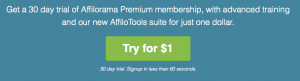Affilorama Review 2015
