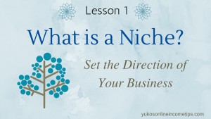 What is a Niche?