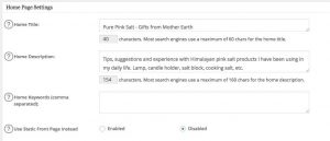 Do SEO your website Homepage Settings